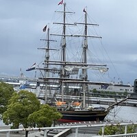 IMPASTO -  IMPASTO -