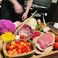 オッジ ダルマット 西麻布店 - 