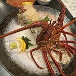 居酒屋 桧乃鳥本店 - 