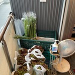 家系総本山 吉村家 - 