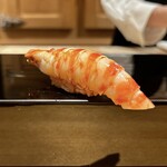 恵比寿 鮨 ふじまさ - 車海老
      
      頭側にはエビ味噌を蓄えた
      甘味と旨み、ホクホクブリブリの食感