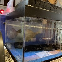 日本橋茅場町 寿司 鮮極 - 