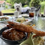 レストガーデン・ミニ - 