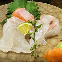 稲水器 あまてらす - 