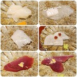 馳走 啐啄一十  - 