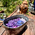 カフェモン - テラスの紫陽花フローティングフラワー❁❁❁
      こういう気の利いたことがサラリとできるセンスにはほんと憧れます(*´꒳`*)