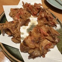 魚竹 - 