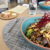 オープチデリス - 