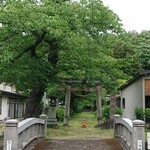 八幡屋 - はづかしの川