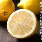 日本栄光酒場ロッキーカナイ - 