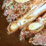 コロボック - スパイスカレー カツトッピング