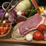 オッジ ダルマット 西麻布店 - 