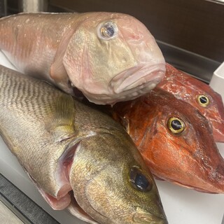 和歌山県【カネナカ水産様】の鮮魚