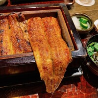 にょろ助 銀座 - 