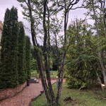 和牛ステーキ桜 那須高原店 - 