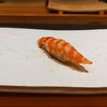 鮨裕 - 車海老♪　天草　高騰してるだろう今に心意気を感じる  当然旨い