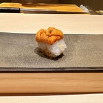 鮨 こいせ - 熊本産アオリイカ＆浜中産バフンウニ  