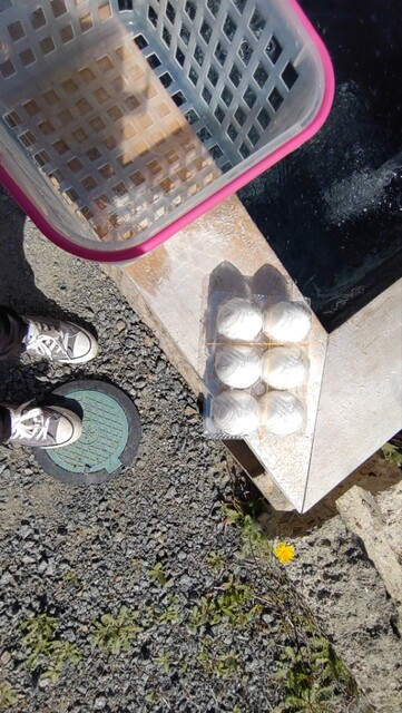 岩瀬商店 - 米沢市その他（コンビニ・スーパー）の写真