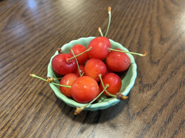 カレーハウス園 駅前店 - 米沢（インド料理）の写真