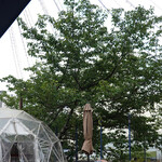 Mi tiempo - 次回は夜のイルミネーションを楽しみたいと思います！