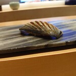 梅田 寿司 すし渡 - 