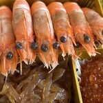 中国料理 竜苑 - 