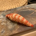 鮨桂太 - クルマエビ