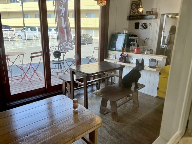 Spice Curry Bull photo 5