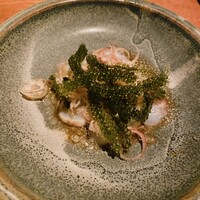 SHIKAKU - 