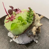 リストランテ・ホンダ - 