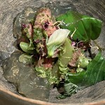 レヴォ - ツキノワグマの赤身肉。