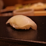 あま木 - アオリイカ