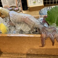 磯ぎよし 天神店 -  磯ぎよし 天神店 -