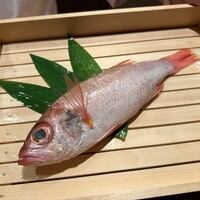 のどぐろ専門 銀座中俣 極 - 