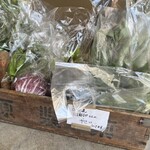 チェスト船堀 - やさい