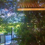 トラットリア プリモ - 