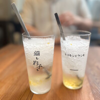 恵比寿ビストロ 猫も杓子も - 