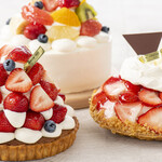 ARROW TREE - メイン写真: