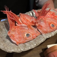 藤よし 堺駅前店 - 