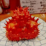 コンペイトウ - 