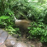 Andy's Sandwiches&Smoothies - 