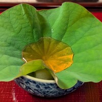 うかい鳥山 - 
