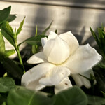 焼きもの家 慶 - 