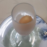 おいしんぼ - お口直しのシャーベット メロン