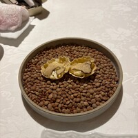 ヴォーロ・コズィ - 