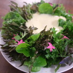 モキチ鎌倉 - 料理写真: