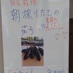 呑龍うどん 恋 - 