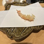 てんぷら 千の種 - 