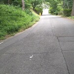 呑龍うどん 恋 - 