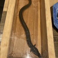 にょろ助 銀座 - ゴメンね！なんか心が痛む.涙